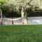 Green Land Boutique Hotel