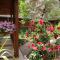 Canario Bungalows