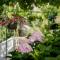 House Predrag