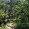 Apartments by the sea Valun, Cres - 386
