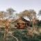 Honeyguide Tented Safari Camp - Khoka Moya - rezervácia voľne žijúcej zveri Manyeleti