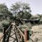 Honeyguide Tented Safari Camp - Khoka Moya - Manyeleti Game Reserve