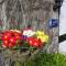 Tros Yr Afon Holiday Cottages and Manor House