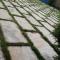 Wayanad Snow Vibes - Vythiri