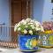 Diana Brown B&B Affittacamere - Lipari