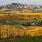 Gite Des Vignes - Verdigny