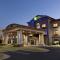 Holiday Inn Express Hotel & Suites Opelika Auburn, an IHG Hotel - Opelika