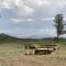 Old Raton Pass Base Camp Cabin with Loft Northern New Mexico Mountain Ranch on Colorado Border cabin