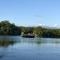 Daintree Crocodylus - Cow Bay