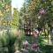 Balaton Holiday