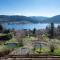 Moho Mountain Home