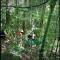 Sitio Arco Iris da Lia