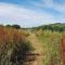 FoxesDen, Unique Eco Cabin, Dartmoor views - South Brent