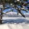 Furano View House