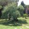 One bedroom villa with shared pool enclosed garden and wifi at Pisa