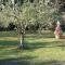 Charming Villa in Pisa with terrace and shared pool. - Pisa