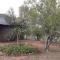 Five Pebbles on Piece of Africa - Cullinan