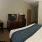 Comfort Inn Downtown - University Area - Kalamazoo