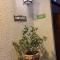 De Blasis Budget Rooms