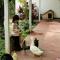 Beautiful Yilan Resort
