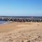 ARRETEZ VOUS A OLERON