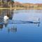 Deeside Holiday Cottages