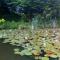 Au Jardin dEau