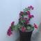 UrbanLife Keetmanshoop Accommodation