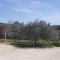 Apartament Oliva
