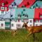 Stunning Condo - View on Lake Tremblant & Mountain