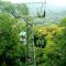 Gamboa Rainforest Reserve
