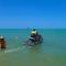 South Pacific Bed & Breakfast