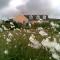 The Plough B&B