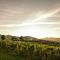 La Casa Vacanza con vista panoramica sui vigneti