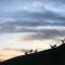 Hilltop Whakaipo Estate