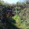 Farm accommodation - The Lizard Peninsula, Cornwall - 赫尔斯顿