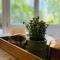Casa Sibylle studio - piccolo paradiso - Minusio