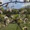 Les fontanelles du quercy blanc - Montcuq