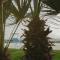 Case Playa Resort