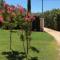 Villa Faro Provence Var - Montfort-sur-Argens