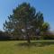 Kyriad Chantilly Sud - Luzarches photo 20