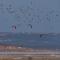 Surf & Kite - Villa Nortada