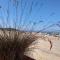 Le Derrien