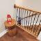 Spacious deluxe house for you, your family and friends
