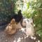 B&B Le Clos des Cigales