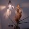 Hotel A Cannata