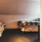 Dundee Backpackers Hostel - 邓迪