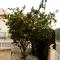 Villa Flamenca - 10 sleeps
