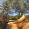 Camping Torkul