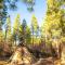 Heartline Ranch, LLC